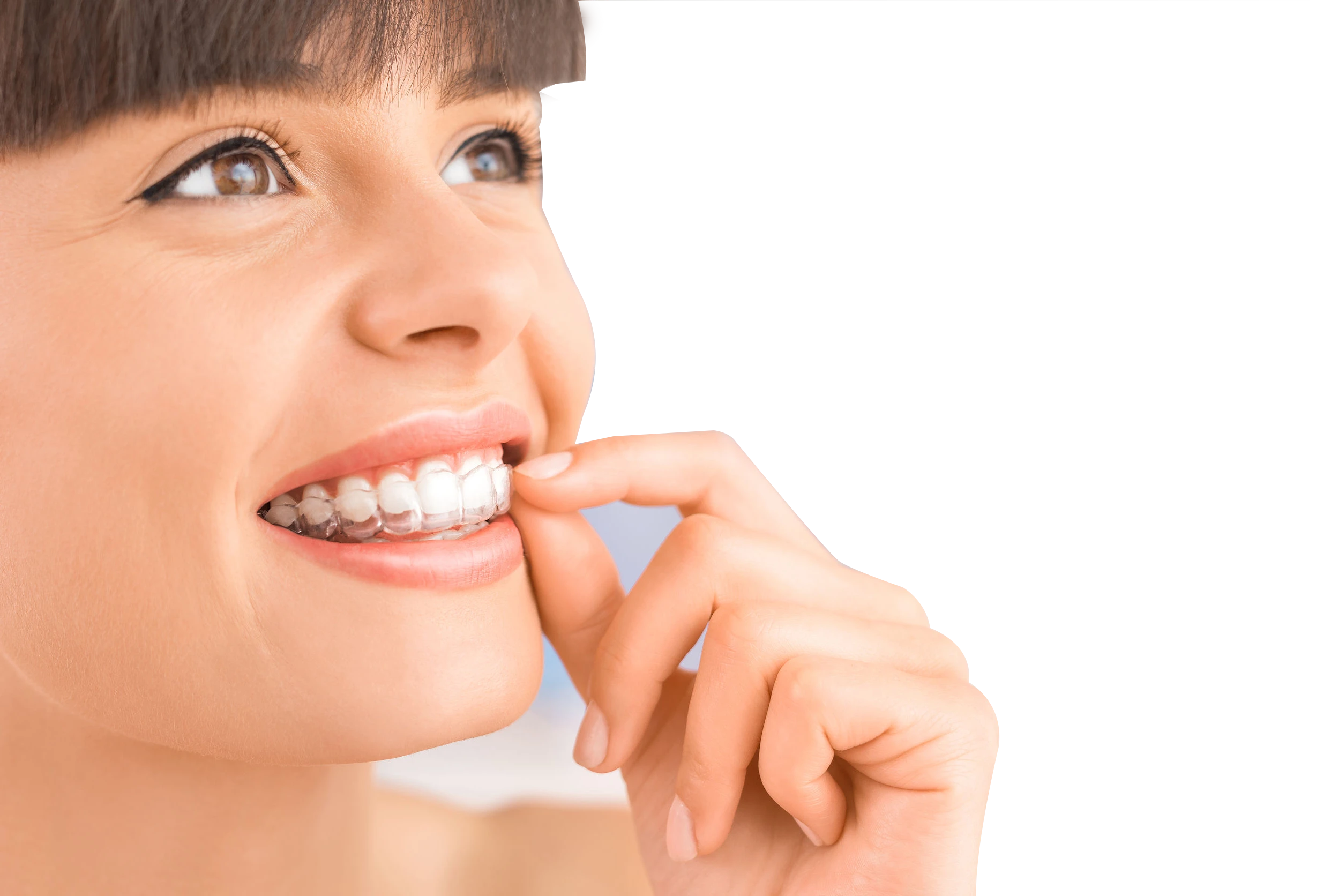 圖示-馬可菲斯國際貿易有限公司